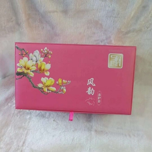 2020新品 AB-2059 女性形体管理 风韵养护套套