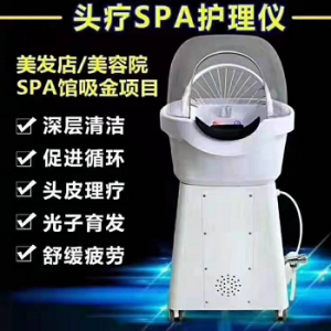 2021-X005 头疗SPA护理仪